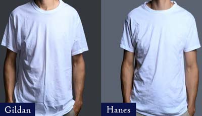 Gildan Vs Hanes