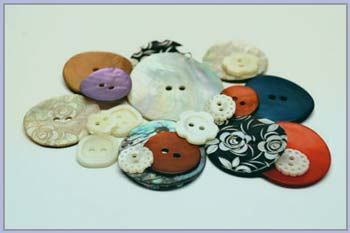 Shells Button Shells