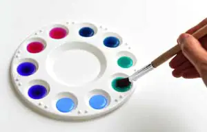 Dip-the-Brush Dip the Brush