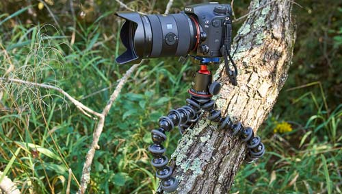 Buying-Guide Gorilla Pod Buying Guide
