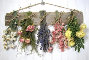 Dried Flower Business