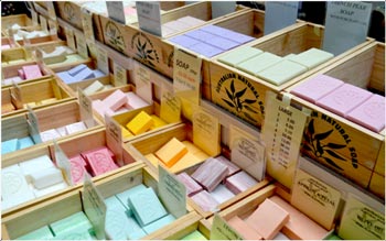 Soap Making Business