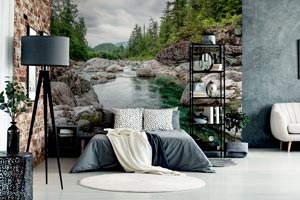 Wall Murals